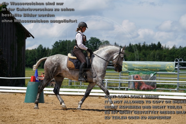 s_K3F04575.JPG